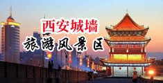 秘书mm被老板调教的小说中国陕西-西安城墙旅游风景区
