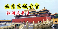 男人把鸡巴插进女人的视频中国北京-东城古宫旅游风景区